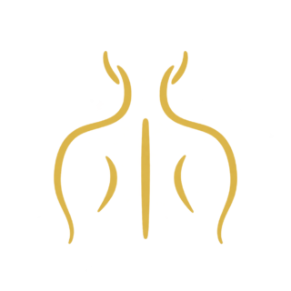 Trayati Pilates 02 https://www.trayati.si/wp-content/uploads/2026/09/Trayati-Pilates-02-320x320.png