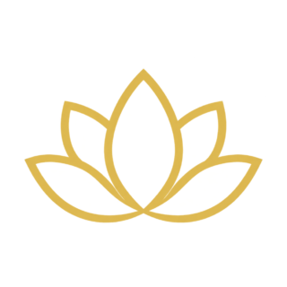 Trayati Pilates 07 https://www.trayati.si/wp-content/uploads/2026/09/Trayati-Pilates-07-320x320.png